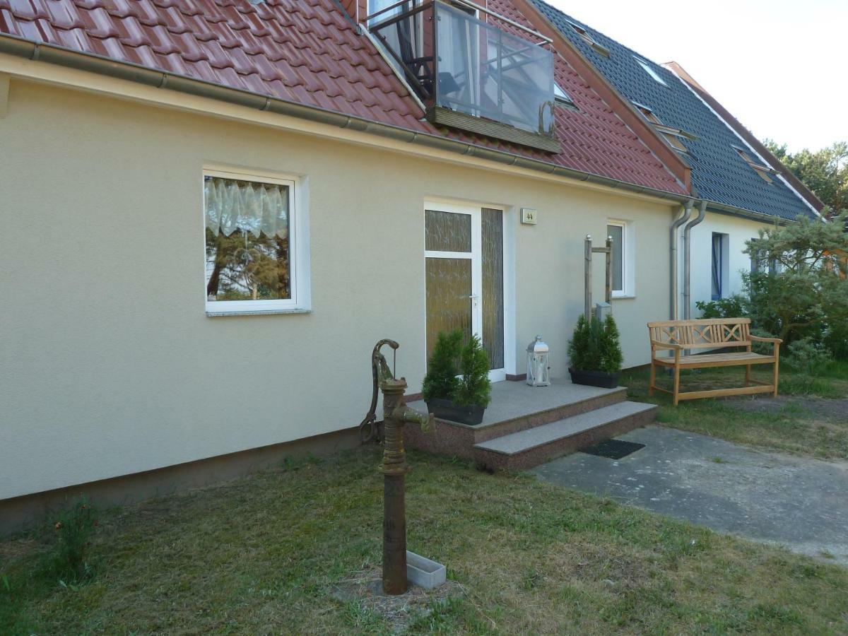 Romantisches Ferienhaus Boddenblick Mit Sauna Pruchten Eksteriør billede